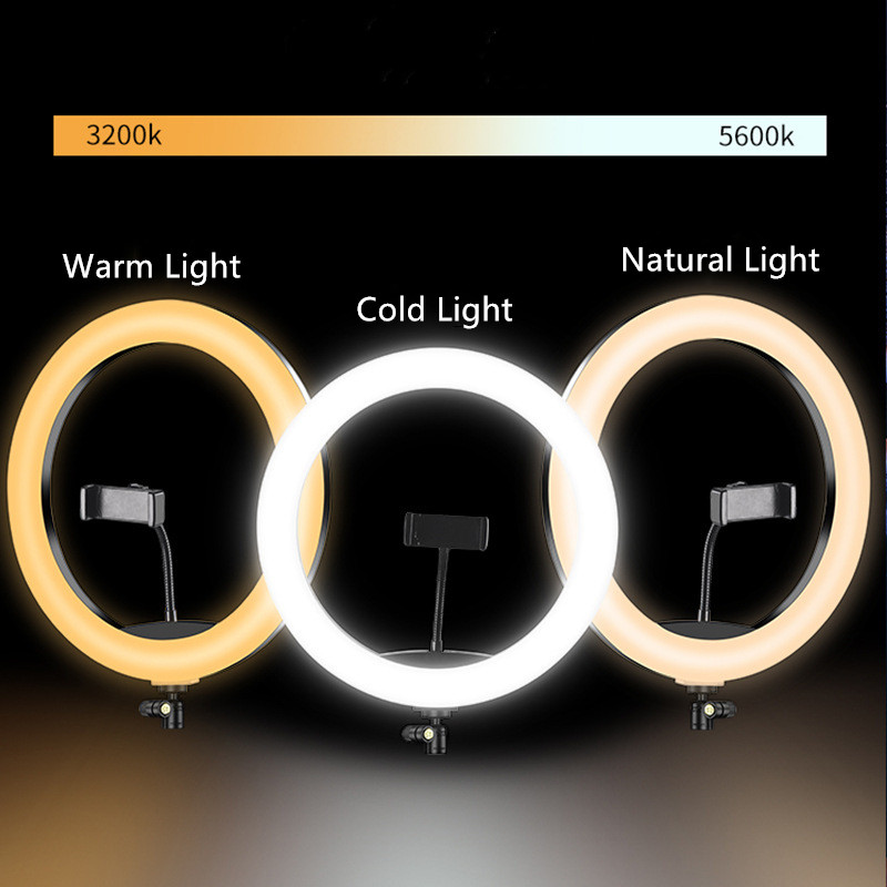 6 Inch Mini Selfie Ring Light  - Webcam Ring Light review and price